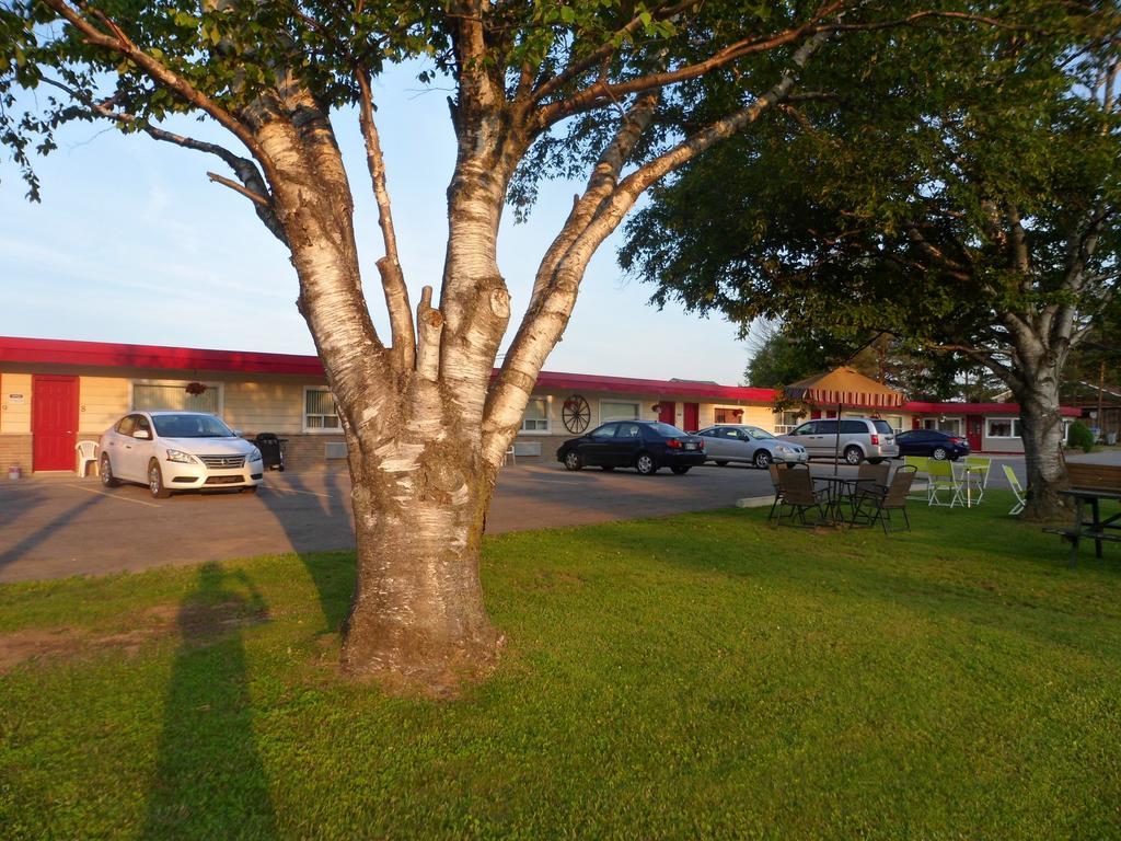 جودريتش The Silver Birch Motel المظهر الخارجي الصورة