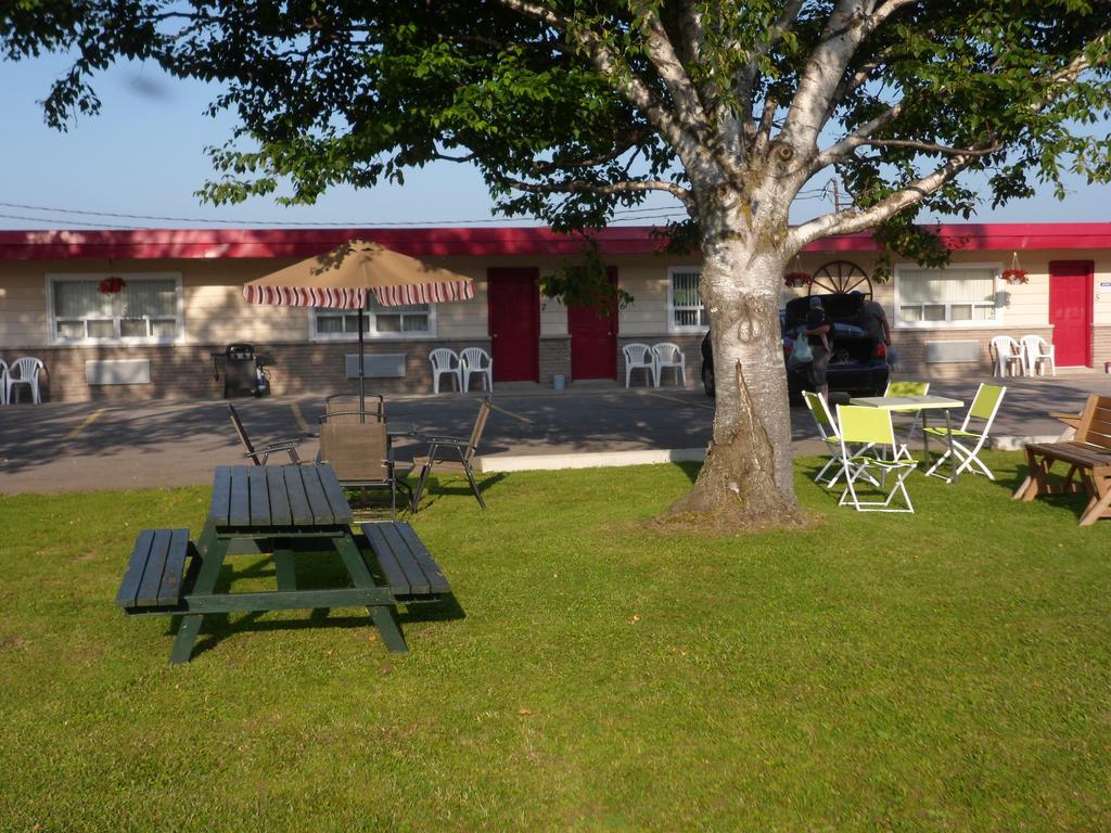 جودريتش The Silver Birch Motel المظهر الخارجي الصورة