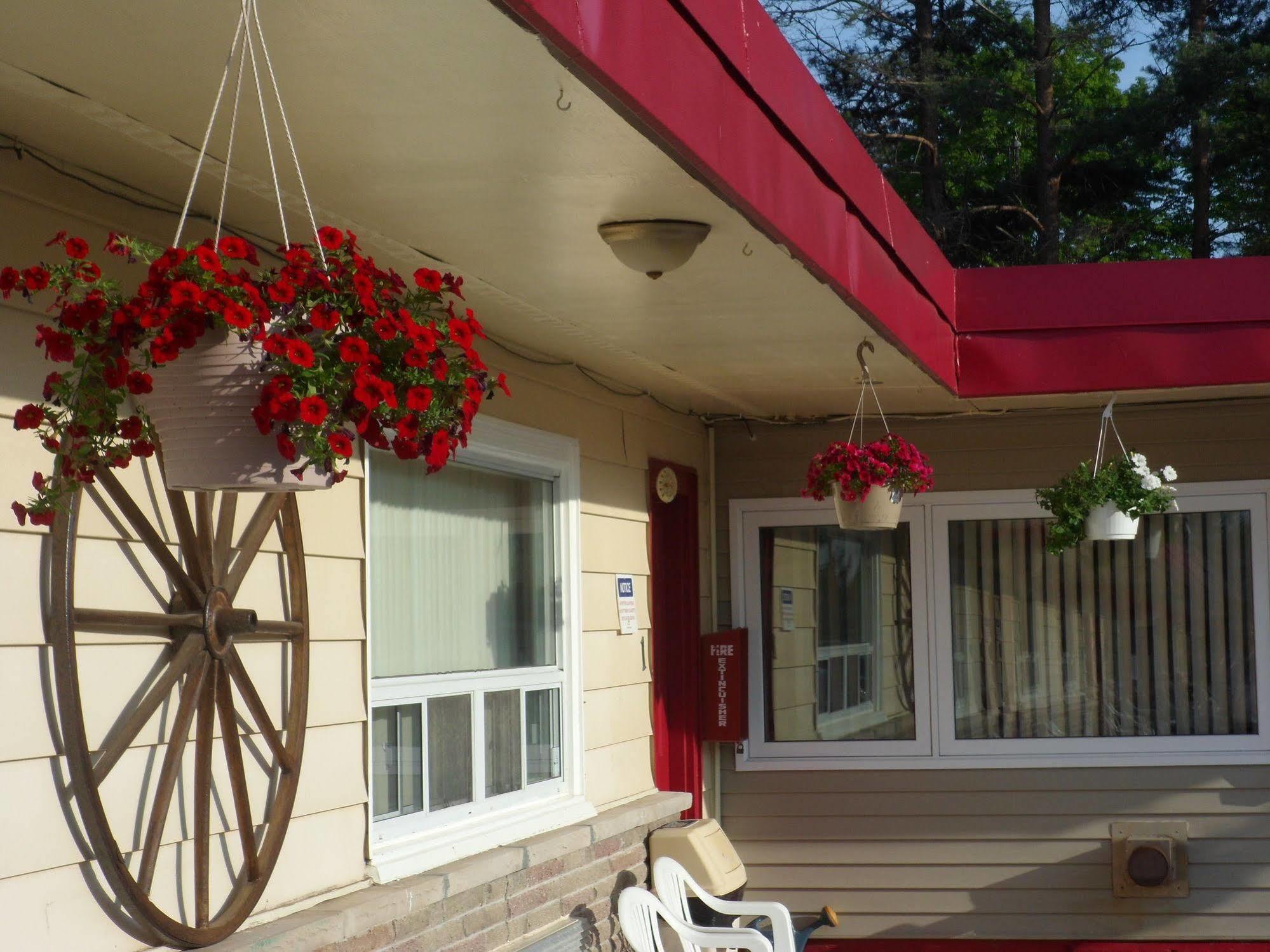 جودريتش The Silver Birch Motel المظهر الخارجي الصورة